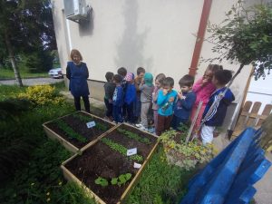 20250428_102459_1024x768