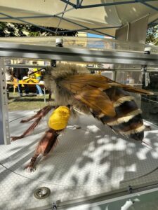 7b03089a-c35d-4670-85d6-7efc78408e00_576x768