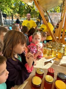 7dec407f-5589-482e-b01c-b527fb4c2221_576x768